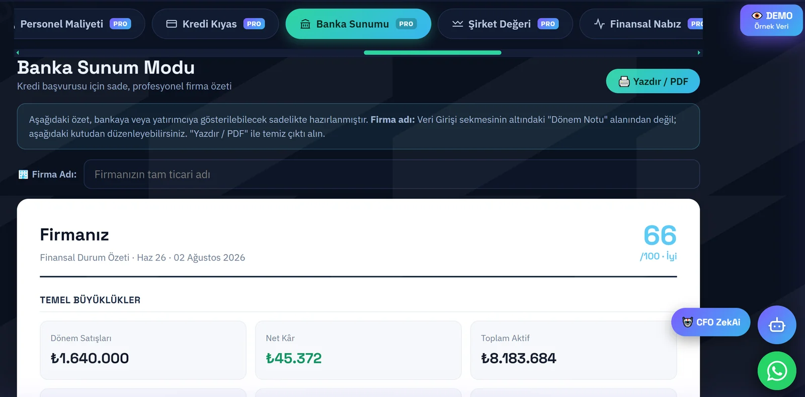 Banka Sunum Modu — kredi başvurusu için tek sayfa firma özeti